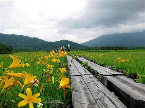 Cool Treks Around Tokyo (3): Oze National Park in Gunma Prefecture ...