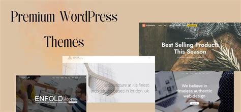 10+ Best Premium WordPress Themes of 2023 (with features & price)