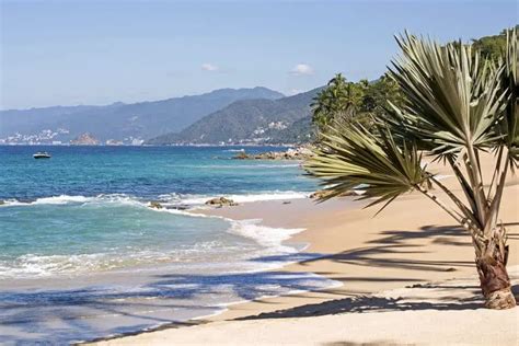 What Are the Beaches Like in Puerto Vallarta (and Can You Snorkel and ...