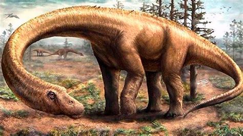 Patagotitan Mayorum el dinosaurio más grande de la historia | Animales ...