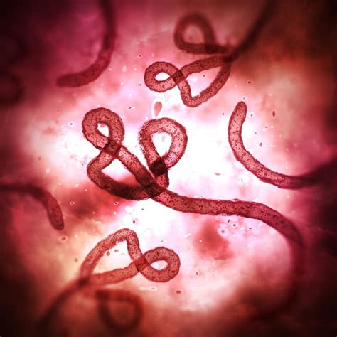 The Ebola Vaccine Is Now Officially Here With Approval In Europe