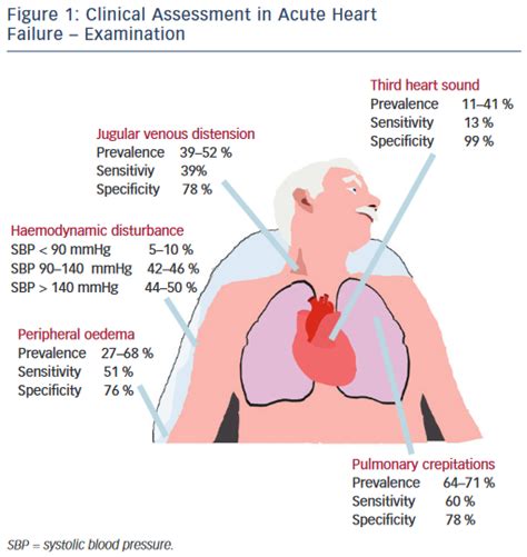 How to Improve Time to Diagnosis in Acute Heart Failure – Clinical ...