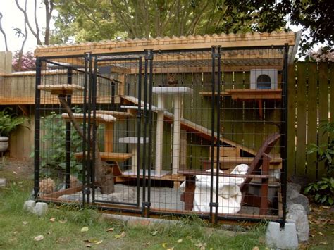 Cat House Design Images - Modern Cat Houses of 2024