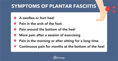 Plantar Fasciitis 101: Signs, Causes, Treatment & Prevention - Homage ...