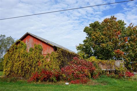 Traverse City Fall Colors: The Most Beautiful Drive through Northern ...