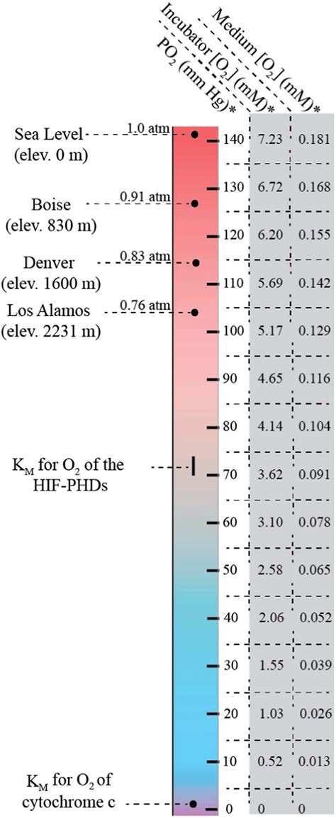 The relationship between elevation above sea level and oxygen ...