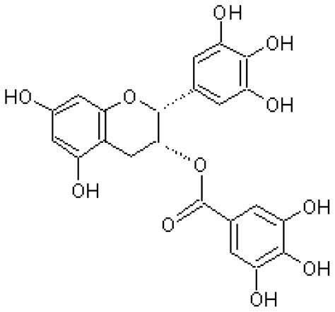 Chemical Structure Of Protein