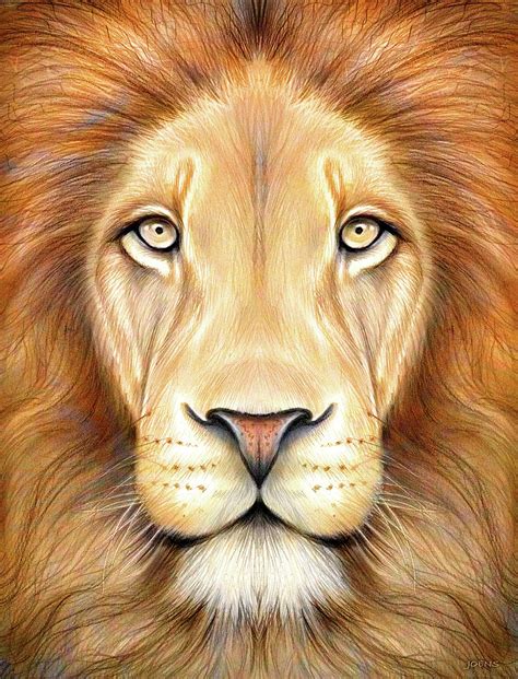 Lion Head in Color Drawing by Greg Joens - Pixels