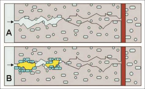 MOTHER GREEN BRICKS BD: BACTERIA BASED SELF-HEALING CONCRETE