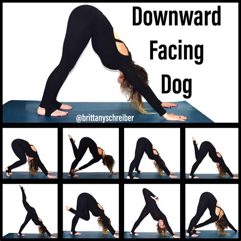 Downward Dog Dog