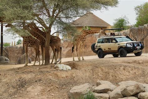 Al Ain Zoo invites visitors from 7.00 pm to 12.00 am during Ramadan