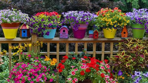 17 Most Colorful Garden Plants