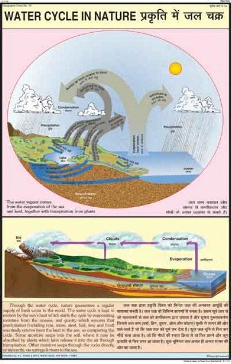 Water Cycle In Nature Chart at Best Price in New Delhi | N. C. Kansil ...