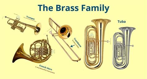 Musical Instruments and their Families Series: The Brass Family