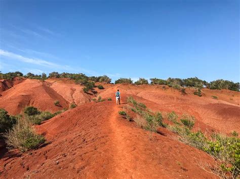 Hiking in La Gomera Why You'll Want to Do a 7-Day Self-Guided Hike