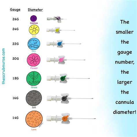 IV Cannula Color Code Tricks To Remember Epomedicine | atelier-yuwa.ciao.jp