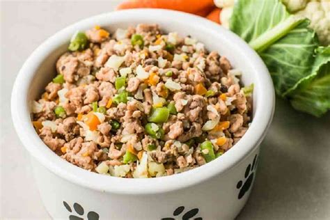 Recetas de comida casera para perro. ¿Cómo hacerlas en casa? | Animales ...