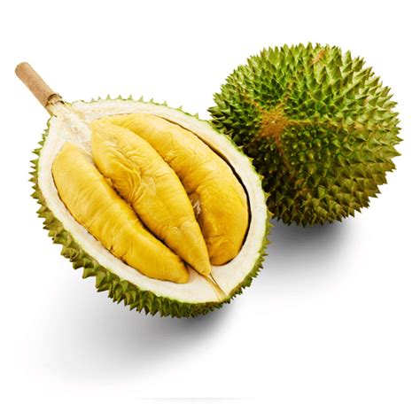 Isi Durian D24 (XO) 400grm per pack – Qniti Bazaar