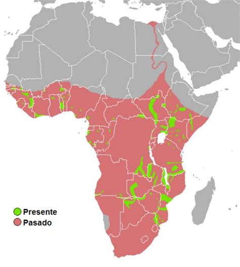 The historical and current distribution of the Hippopotamus ...