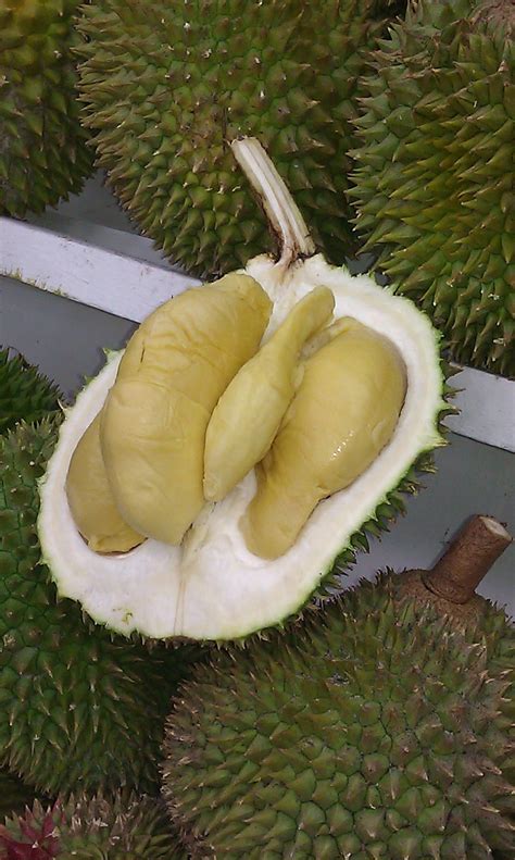 Durianlicious: D24, Sultan Durian