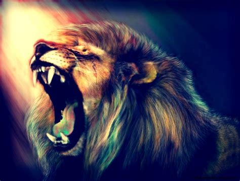 Lion Hd Wallpaper | This Wallpapers