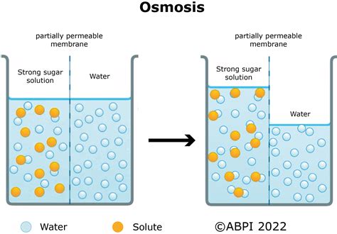 Diffusionosmosis Dmcardle2nd2014