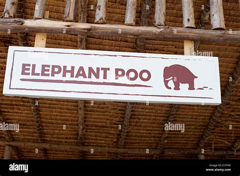 Elephant Poo sign in Elephant Poopoopaper making Park in Chiang Mai ...