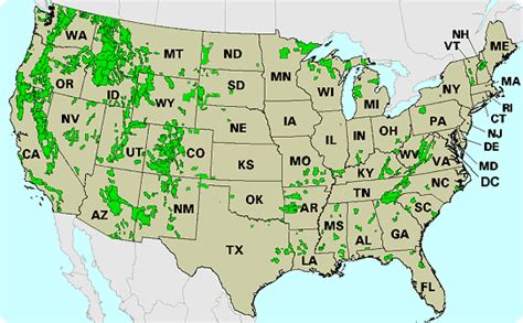 Forest Map Of Us - Fancie Shandeigh