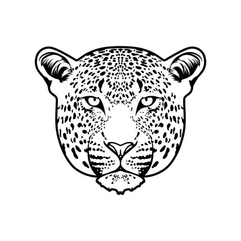 Leopard Face Vector design inspiration 6097528 Vector Art at Vecteezy