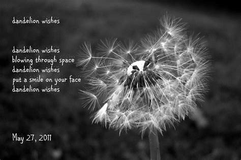 Dandelion Wishes | Dandelion wish, Dandelion, Wish quotes