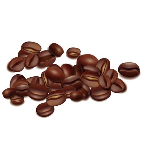 coffee bean vector png 20 free Cliparts | Download images on Clipground ...