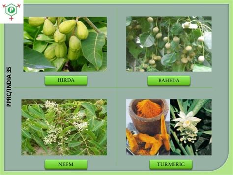 Medicinal plants in India