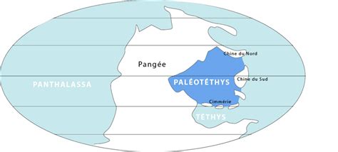 Paleo-Tethys Ocean | Wiki | Everipedia