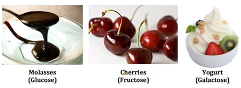 Monosaccharides | Definition, Formula & Examples - Lesson | Study.com