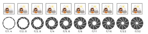 A Beginners Guide to Understanding Aperture - Photography Hero