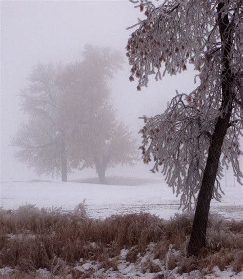 Freezing Fog In Rapid City SD