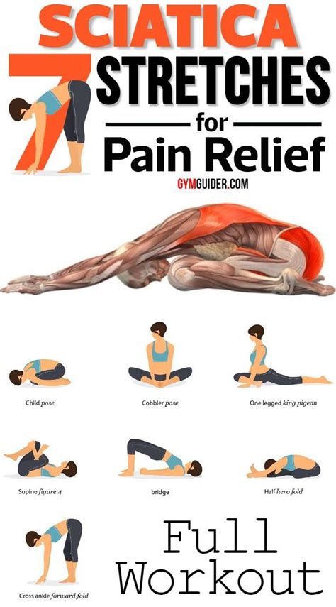 If you have lower back pain, you are not alone. In fact, most people ...