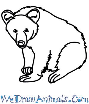 How to Draw a Realistic Black Bear