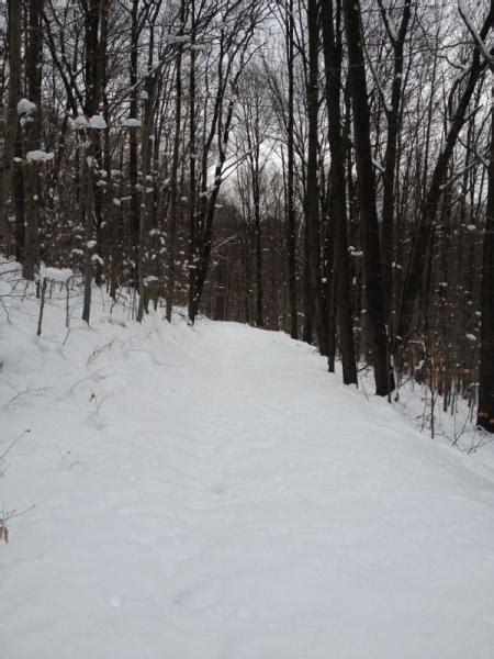 Allegany State Park Mountain Bike Trail in Salamanca, New York ...