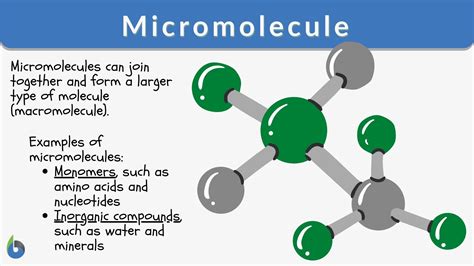 Micromolecule - Definition and Examples - Biology Online Dictionary