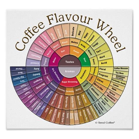 Coffee Flavour Wheel Wall Art | Zazzle | Coffee flavor, Coffee roasters ...