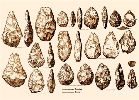 😎 Lower paleolithic tools. 7 Types of Tools Used During Middle ...