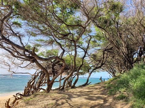 Best 3 things in Diamond Head Beach Park Hawaii