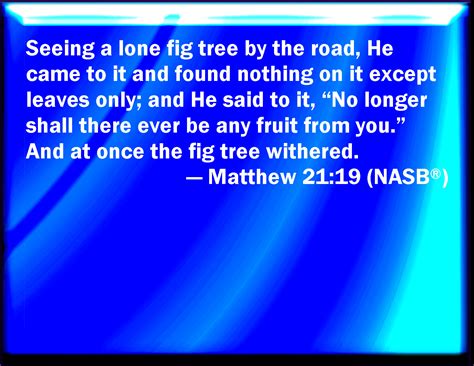 Matthew 21:19 And when he saw a fig tree in the way, he came to it, and ...