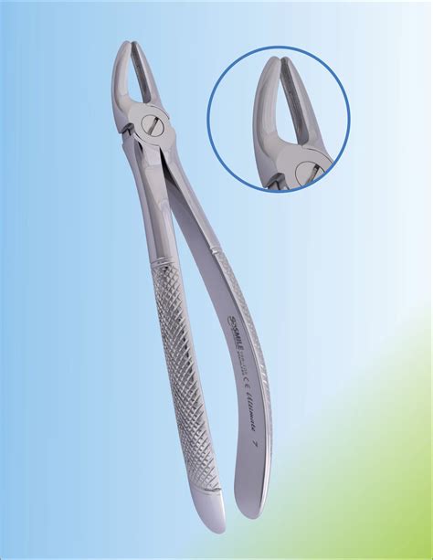 Maxillary Premolar Forceps Sale Discount | www.elevate.in