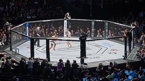 MMA closer to being legal again in New York as Assembly votes to lift ...