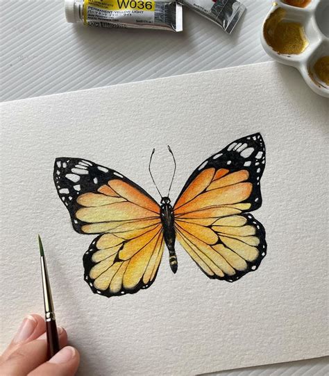 Beautiful Watercolor Butterfly Painting Ideas - Beautiful Dawn Designs