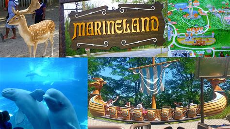 Tips for visiting Marineland in Niagara Falls - YouTube