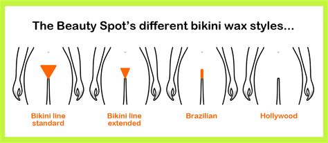 Types Of Brazilian Wax Pictures - Design Talk