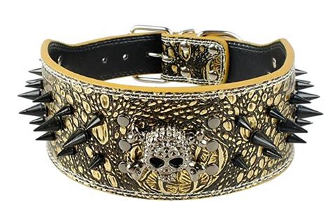 7 Spiked Dog Collars for Punk-Rock Pups - Vetstreet | Vetstreet